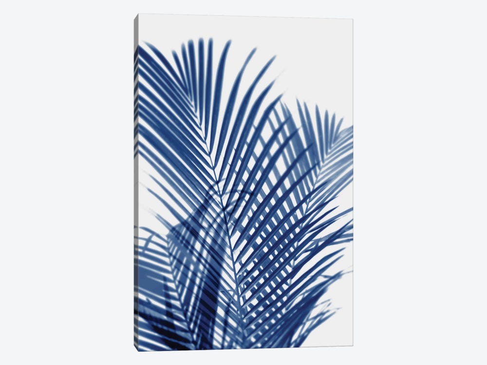 Palm Shadows Indigo I by Melonie Miller 1-piece Canvas Art Print