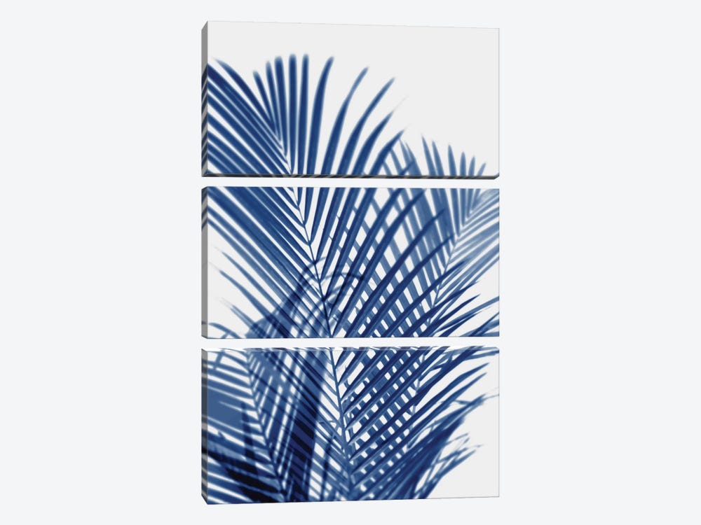Palm Shadows Indigo I by Melonie Miller 3-piece Art Print