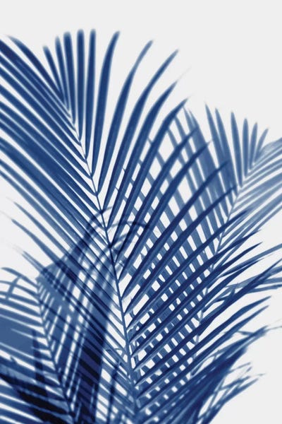 Tropical Leaves: Palm Shadows Indigo I by Melonie Miller