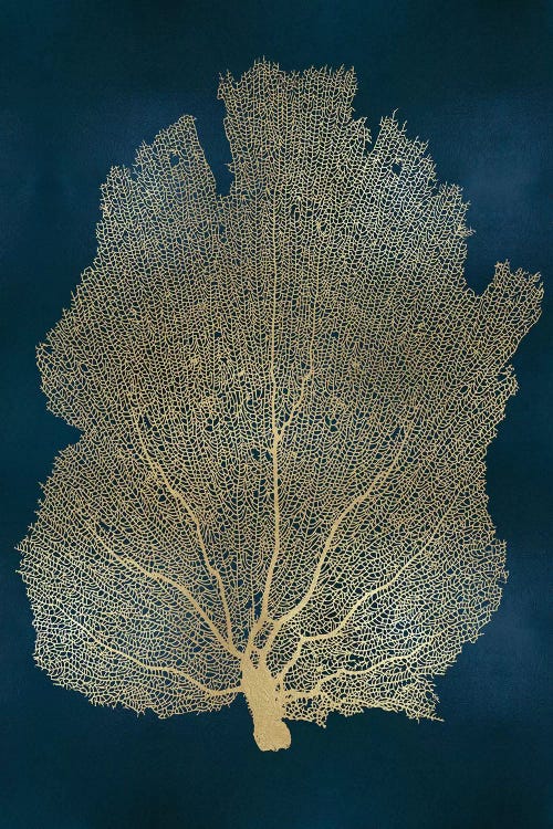 Sea Fan Gold on Teal I by Melonie Miller wall art