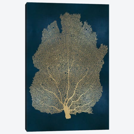 Sea Fan Gold on Teal I Canvas Print #MMR70} by Melonie Miller Canvas Wall Art