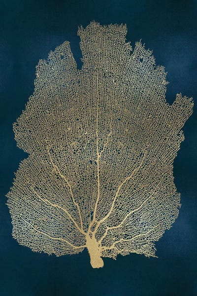 Melonie Miller: Sea Fan Gold on Teal I by Melonie Miller