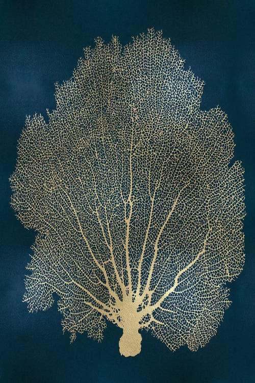 Sea Fan Gold on Teal II by Melonie Miller wall art