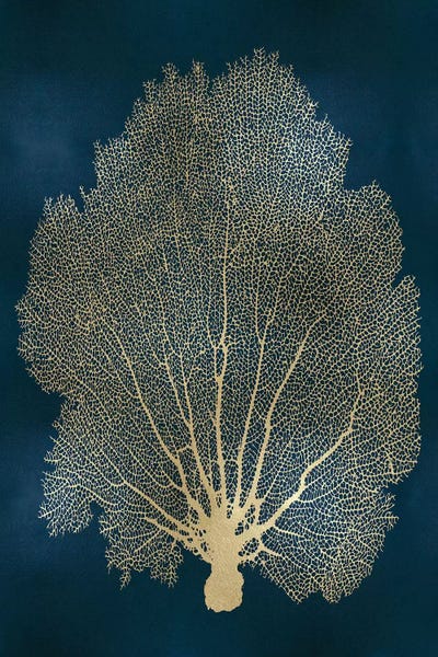 Melonie Miller: Sea Fan Gold on Teal II by Melonie Miller