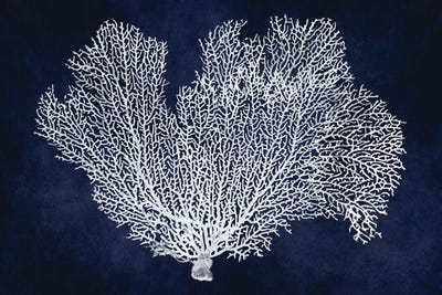 Sea Fan on Indigo Blue I by Melonie Miller canvas print
