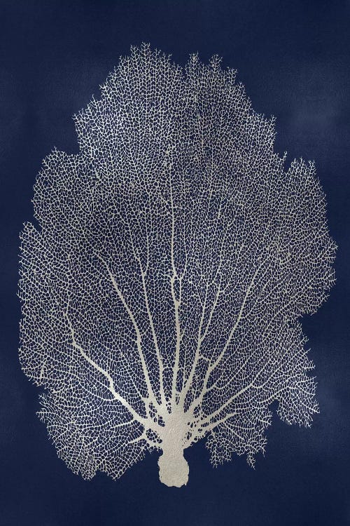 Sea Fan Silver on Blue II by Melonie Miller wall art
