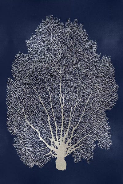 Melonie Miller: Sea Fan Silver on Blue II by Melonie Miller
