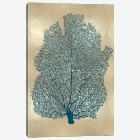 Sea Fan Teal on Gold I Canvas Print #MMR78} by Melonie Miller Canvas Artwork