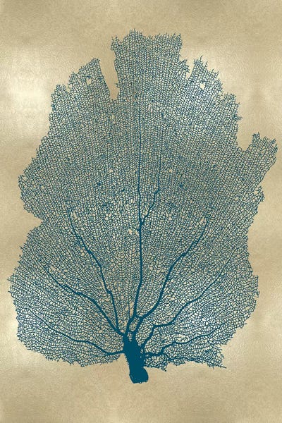 Sea Fan Teal on Gold I