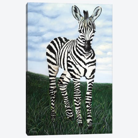 At Attention Zebra Canvas Print #MMS1} by Megan Morris Canvas Print