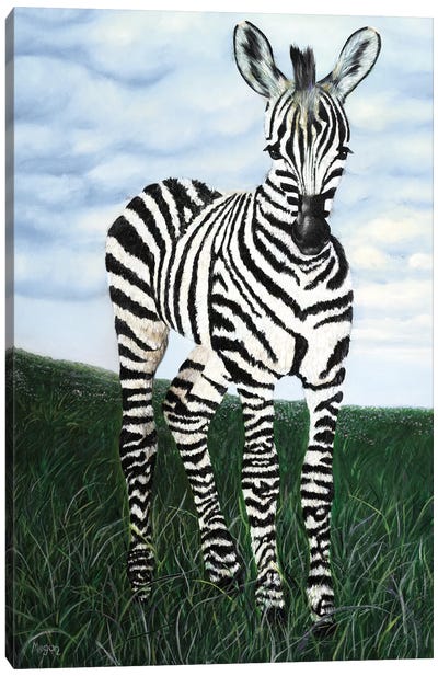 At Attention Zebra Canvas Art Print - Megan Morris