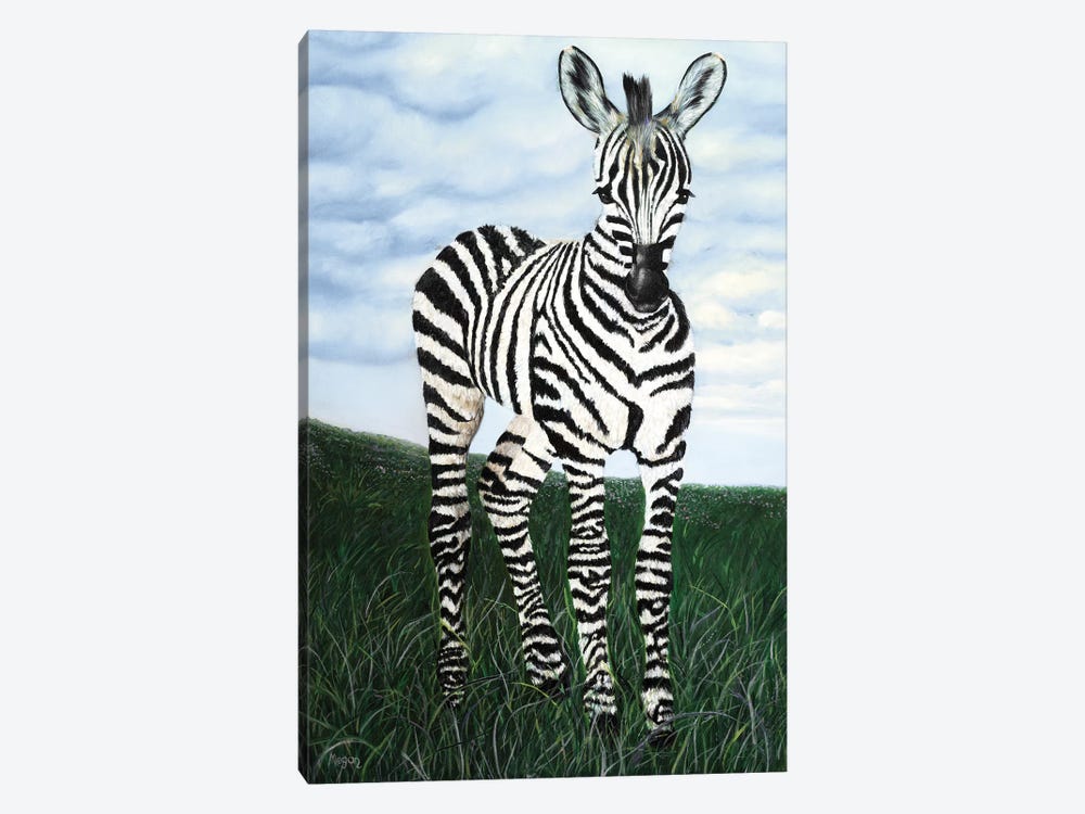 At Attention Zebra by Megan Morris 1-piece Canvas Print