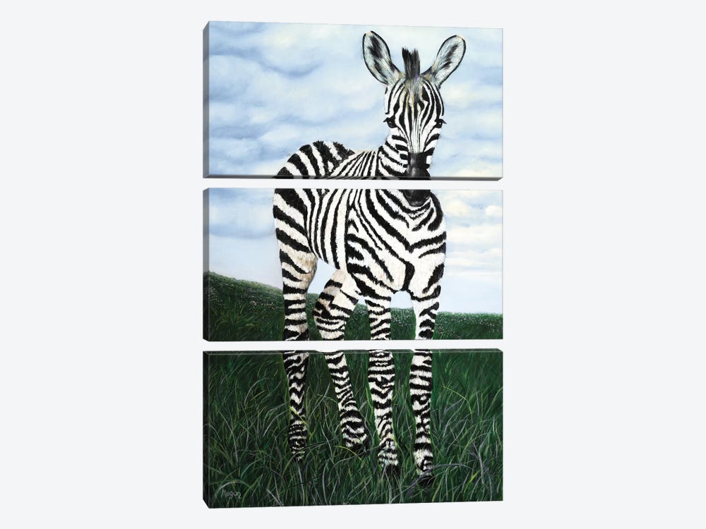 At Attention Zebra by Megan Morris 3-piece Canvas Art Print