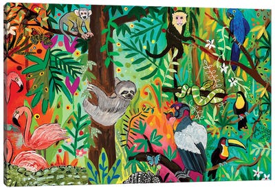 Amazonia III Canvas Art Print - Sloth Art