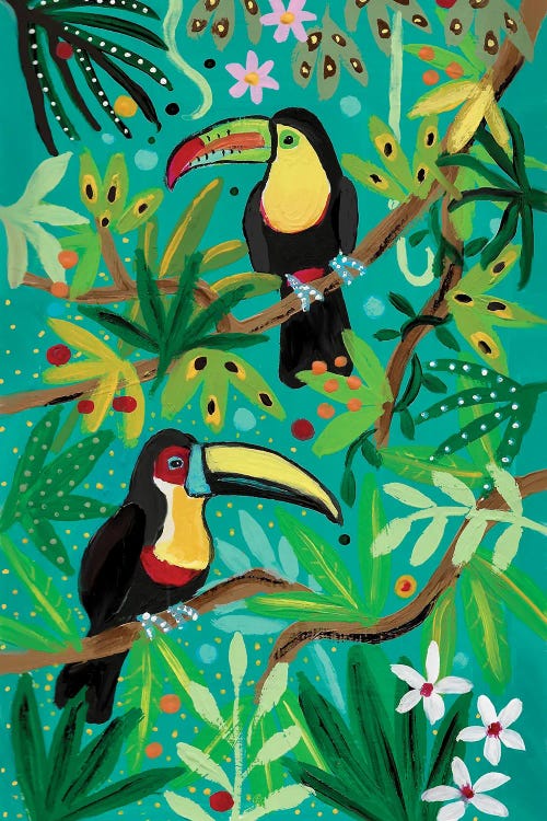 Toucans