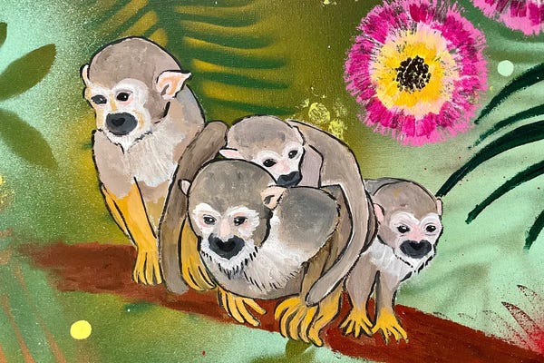 Magali Modoux: Monkies Of The Amazon Rainforest by Magali Modoux