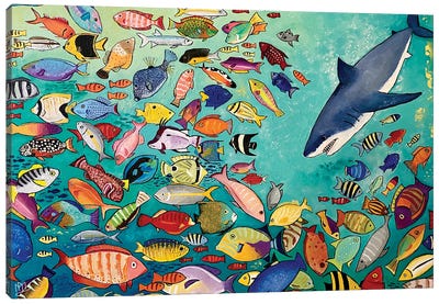 Shark And Fishes Canvas Art Print - Shark Art