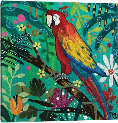 Scarlet Macaw Canvas Art Print - Jungles