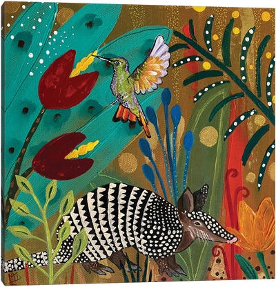 Armadillo Canvas Art Print - Hummingbird Art