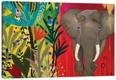 Africa, Land Of Contrast Canvas Art Print - Jungles