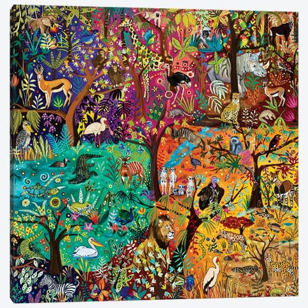 Rainbow Safari Canvas Print #MMX82} by Magali Modoux Canvas Print