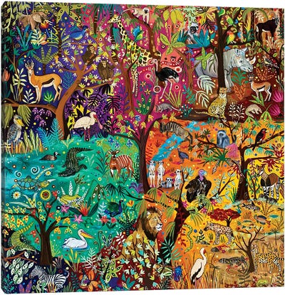 Rainbow Safari Canvas Art Print - Magali Modoux