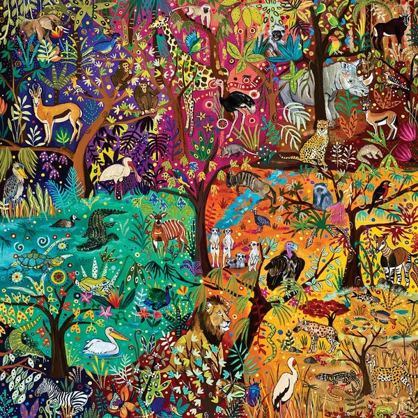 Magali Modoux: Rainbow Safari by Magali Modoux