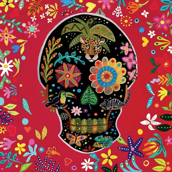 Magali Modoux: Amazonia Skull by Magali Modoux