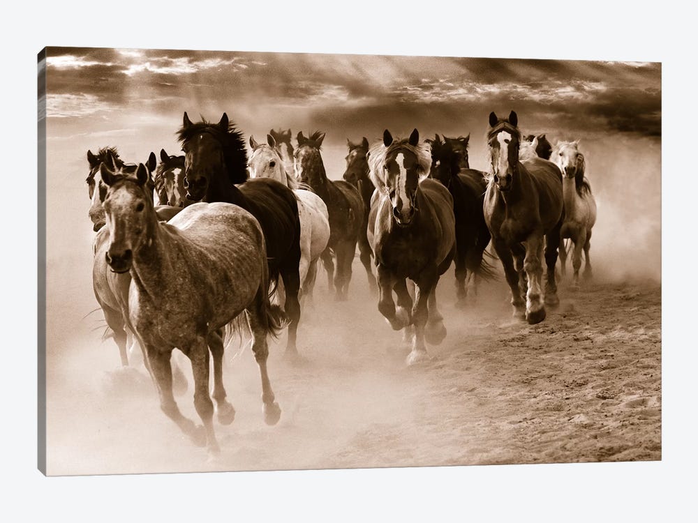Running Horses by Monte Nagler 1-piece Canvas Print