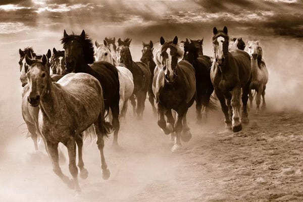 Sepia Photography: Running Horses by Monte Nagler