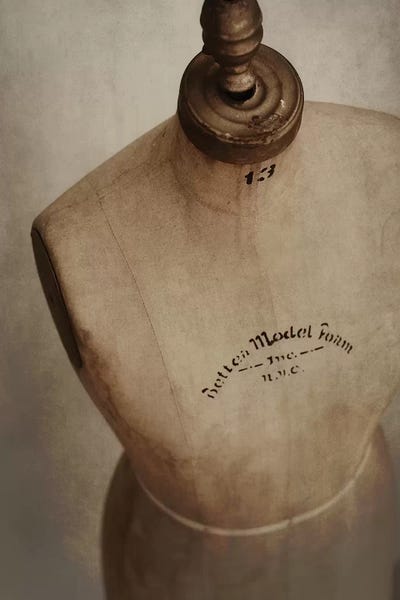Mandy Lynne: Dress Form Vin by Mandy Lynne