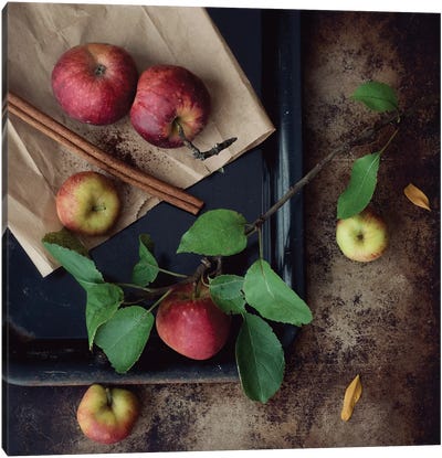 Apples Canvas Art Print - Mandy Lynne