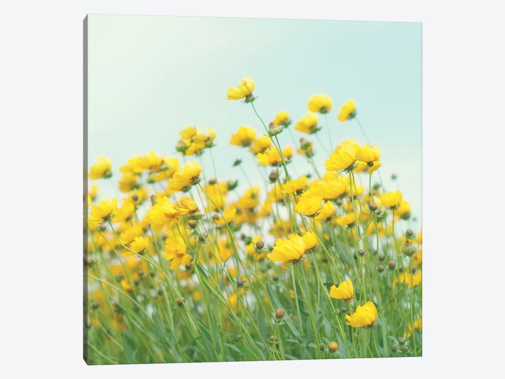 Field Of Yellow Flowers Crop by Mandy Lynne 1-piece Art Print