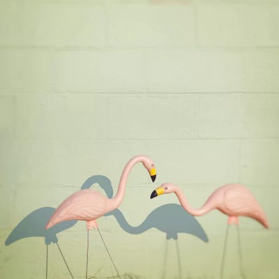 Flamingo II by Mandy Lynne framed wall art