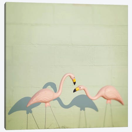 Flamingo II Canvas Print #MND23} by Mandy Lynne Art Print