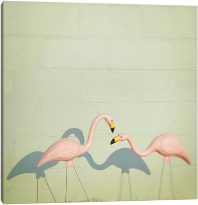 Flamingo II Canvas Art Print - Mandy Lynne