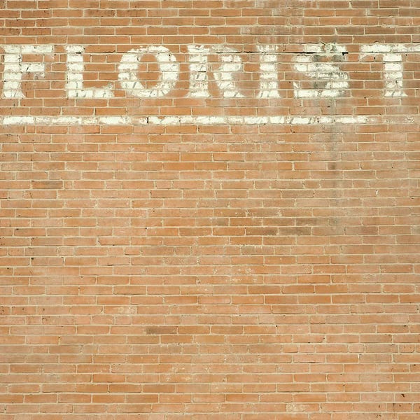Mandy Lynne: Florist On Brick by Mandy Lynne