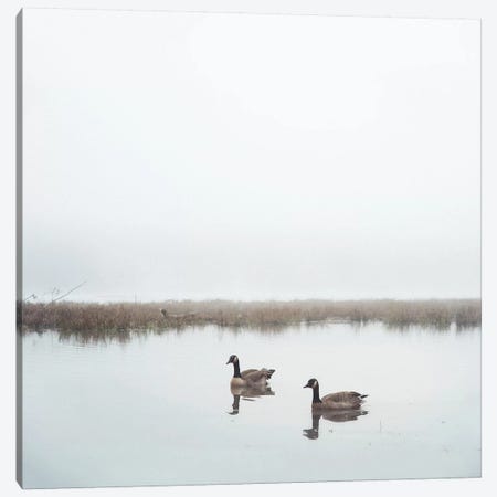 Geese On Lake Grain Canvas Print #MND29} by Mandy Lynne Art Print