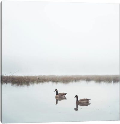 Geese On Lake Grain Canvas Art Print - Mandy Lynne