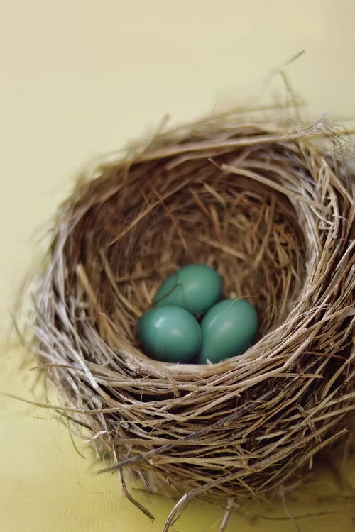 Nest
