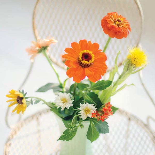 Mandy Lynne: Orange Flowers On Iron Chair by Mandy Lynne
