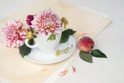 Pink Dahlia Still Life by Mandy Lynne metal wall art