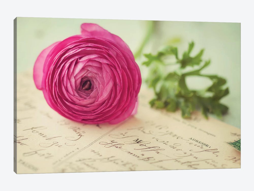 Pink Flower & Postcard by Mandy Lynne 1-piece Art Print