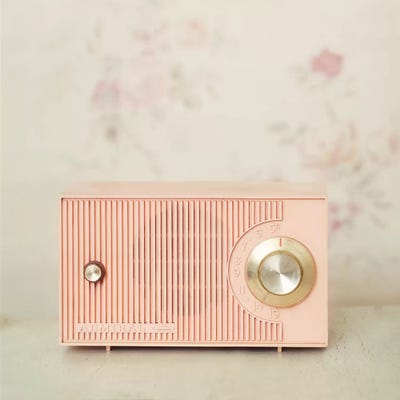 Radio by Mandy Lynne framed canvas print