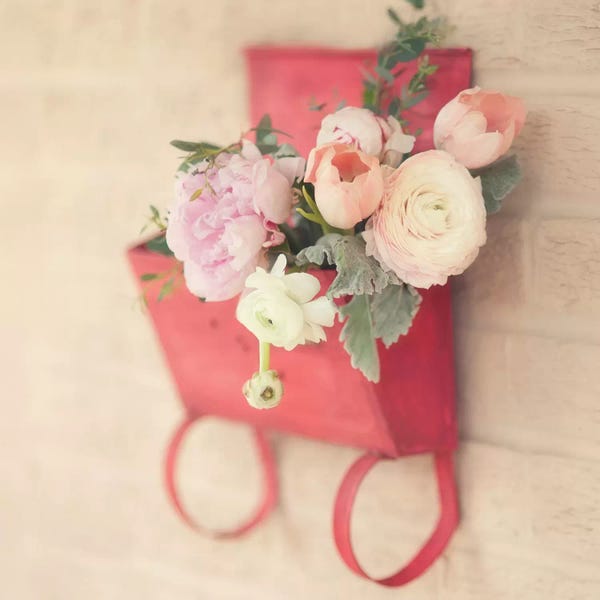 Tulips: The Letterbox by Mandy Lynne