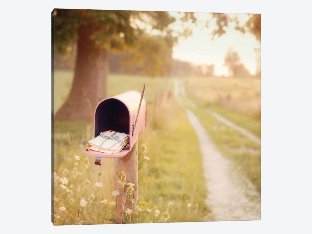 The Pink Mailbox Tint by Mandy Lynne 1-piece Art Print