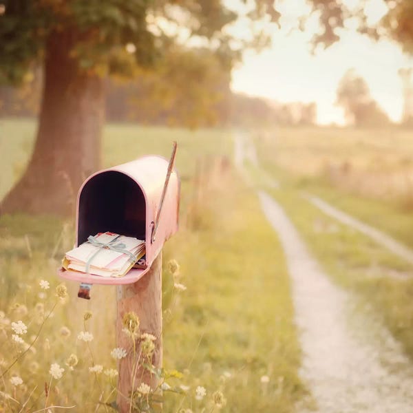 Mandy Lynne: The Pink Mailbox Tint by Mandy Lynne
