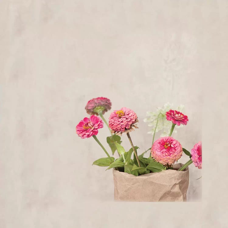 Zinnia's In Paper Bag