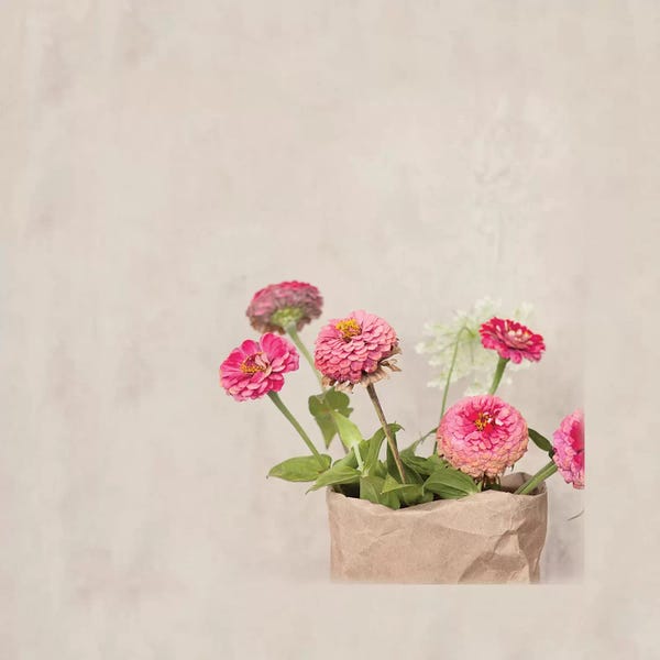 Zinnias: Zinnia's In Paper Bag by Mandy Lynne