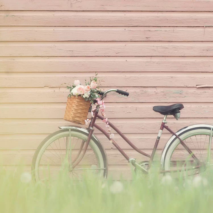 Bike & Pink Wall